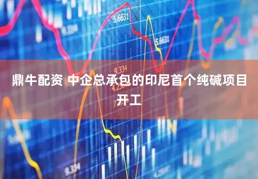 鼎牛配资 中企总承包的印尼首个纯碱项目开工