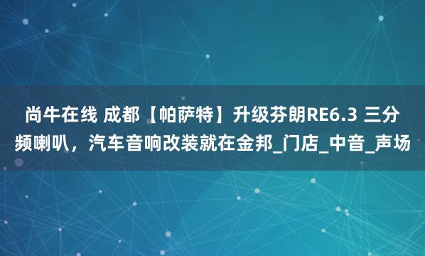 尚牛在线 成都【帕萨特】升级芬朗RE6.3 三分频喇叭，汽车音响改装就在金邦_门店_中音_声场