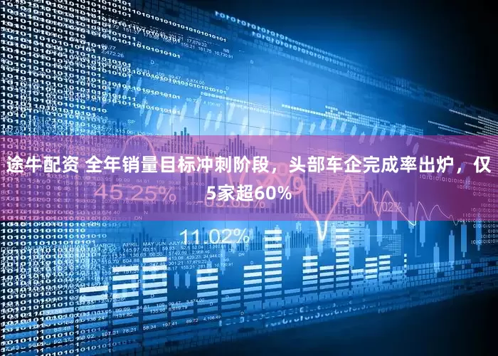 途牛配资 全年销量目标冲刺阶段，头部车企完成率出炉，仅5家超60%