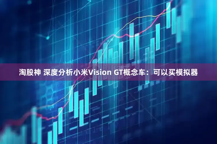 淘股神 深度分析小米Vision GT概念车:可以买模拟器